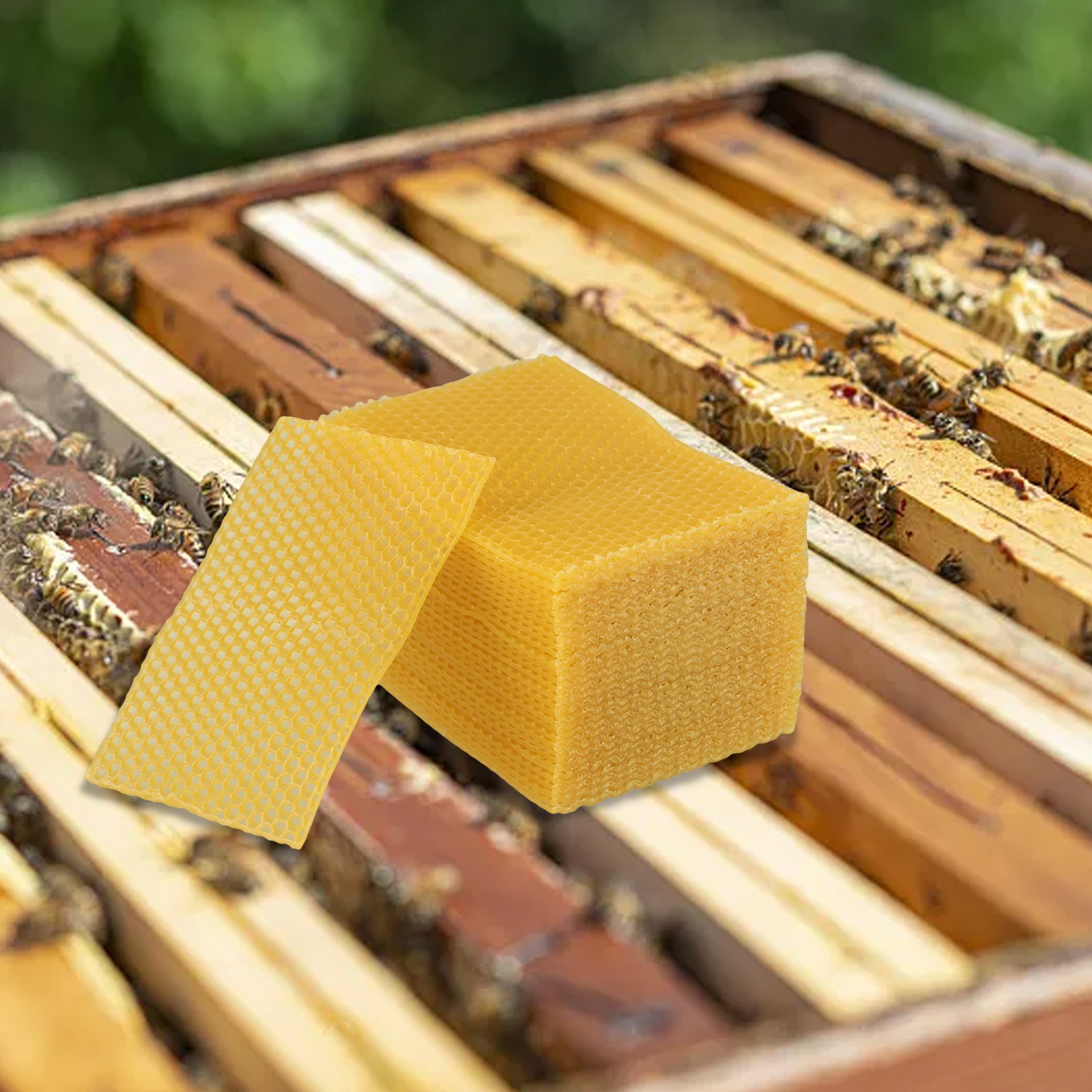 ألواح شمع النحل 5.24 × 3.54 بو - مراجعة Beeswax Sheet Roll وسعره